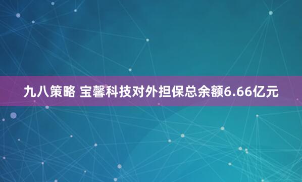 九八策略 宝馨科技对外担保总余额6.66亿元