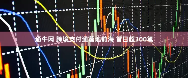 通牛网 跨境支付通落地前海 首日超300笔
