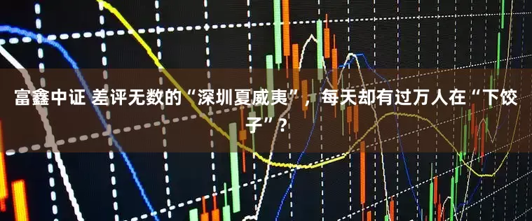 富鑫中证 差评无数的“深圳夏威夷”，每天却有过万人在“下饺子”？