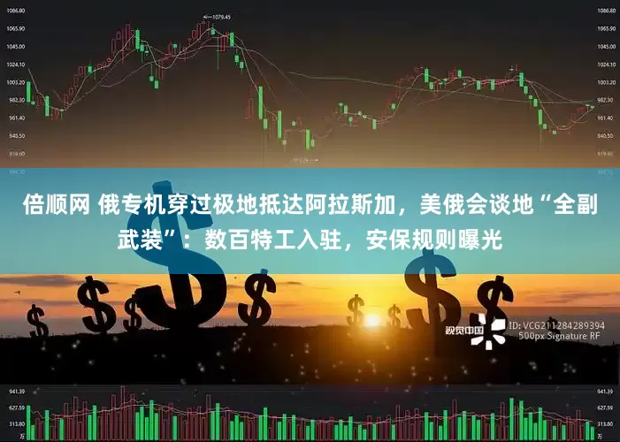 倍顺网 俄专机穿过极地抵达阿拉斯加，美俄会谈地“全副武装”：数百特工入驻，安保规则曝光