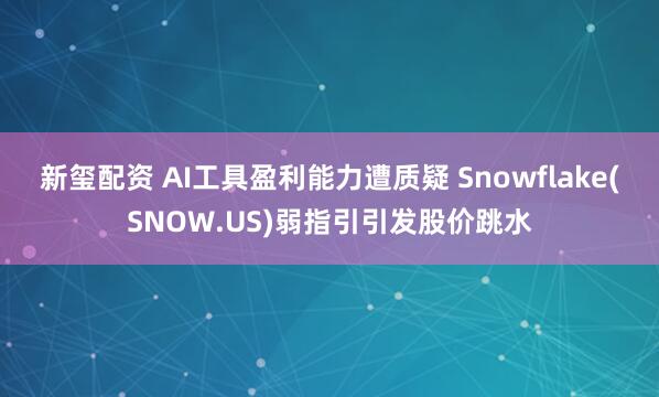新玺配资 AI工具盈利能力遭质疑 Snowflake(SNOW.US)弱指引引发股价跳水