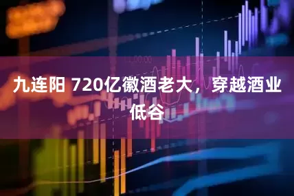九连阳 720亿徽酒老大，穿越酒业低谷